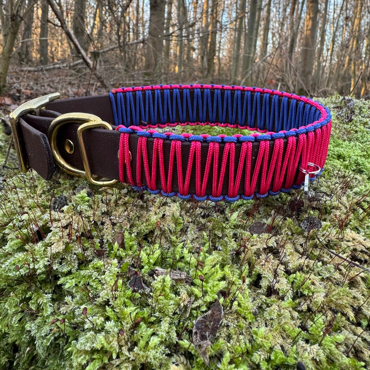 Make your own 19mm wrapped biothane collar.