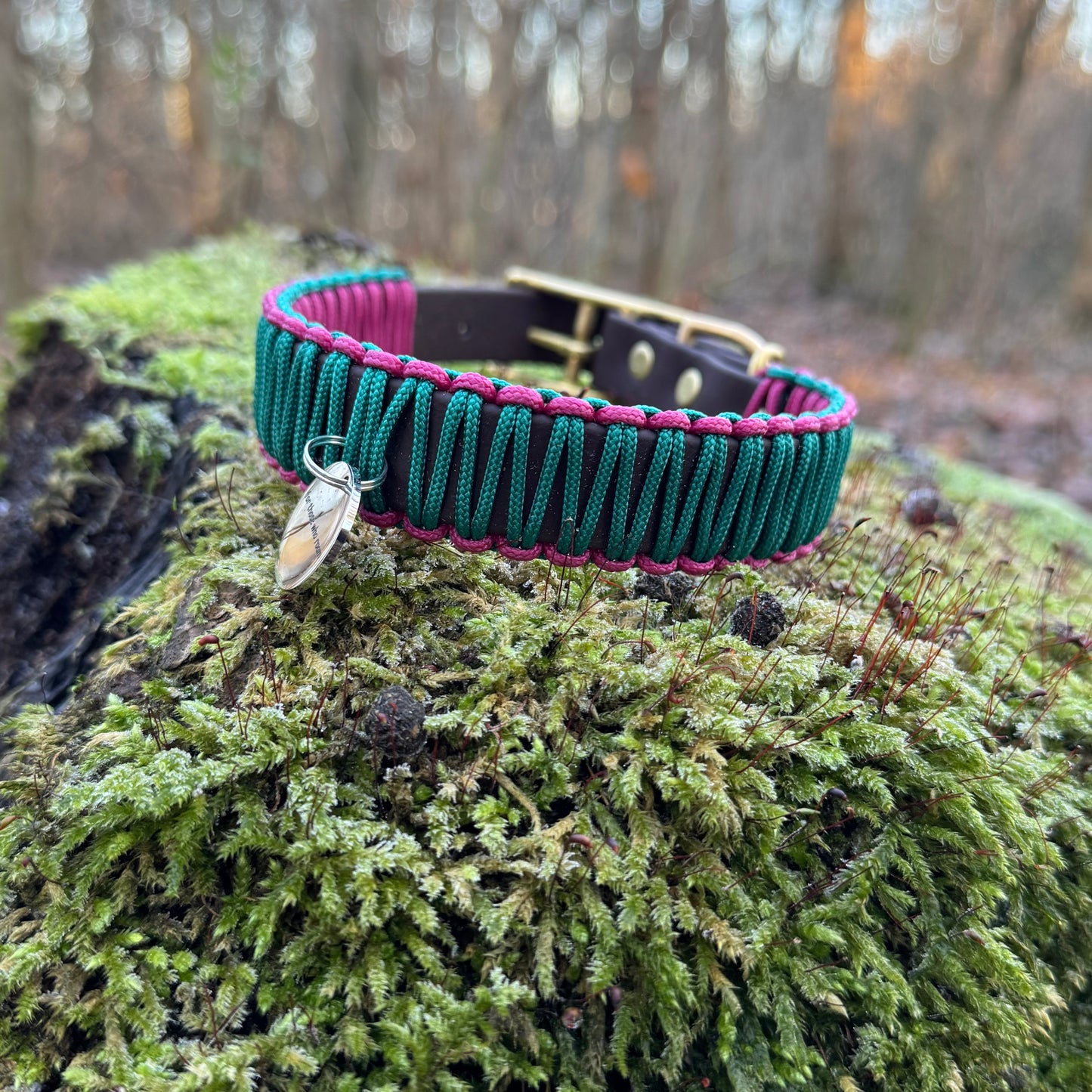 Make your own 19mm wrapped biothane collar.