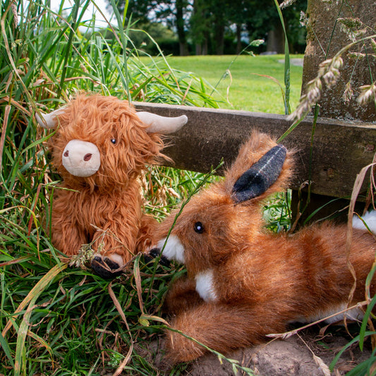 Heritage Fergus Highland Cow