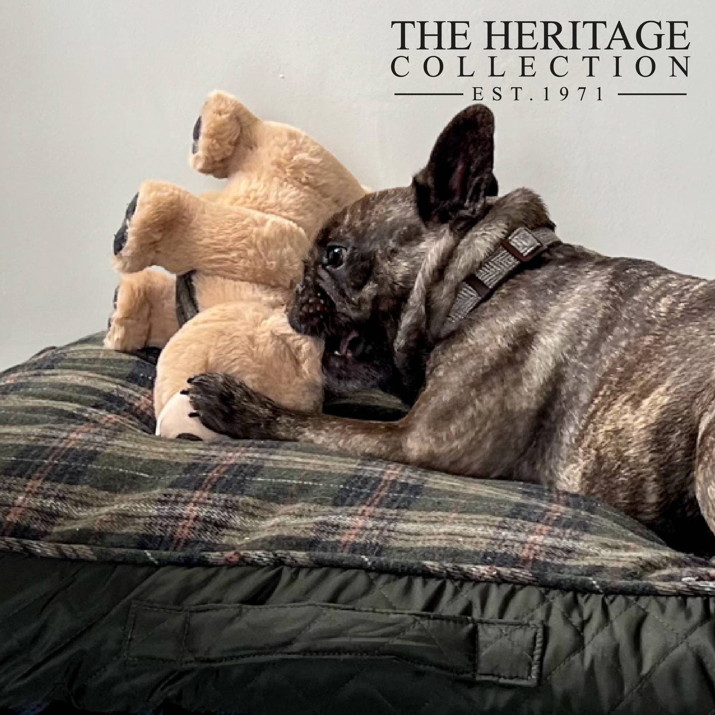 The Heritage Collection Tartan Bear