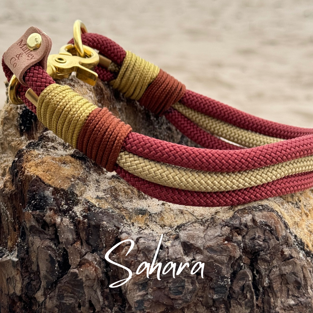 SALE - Sahara Collar 13in