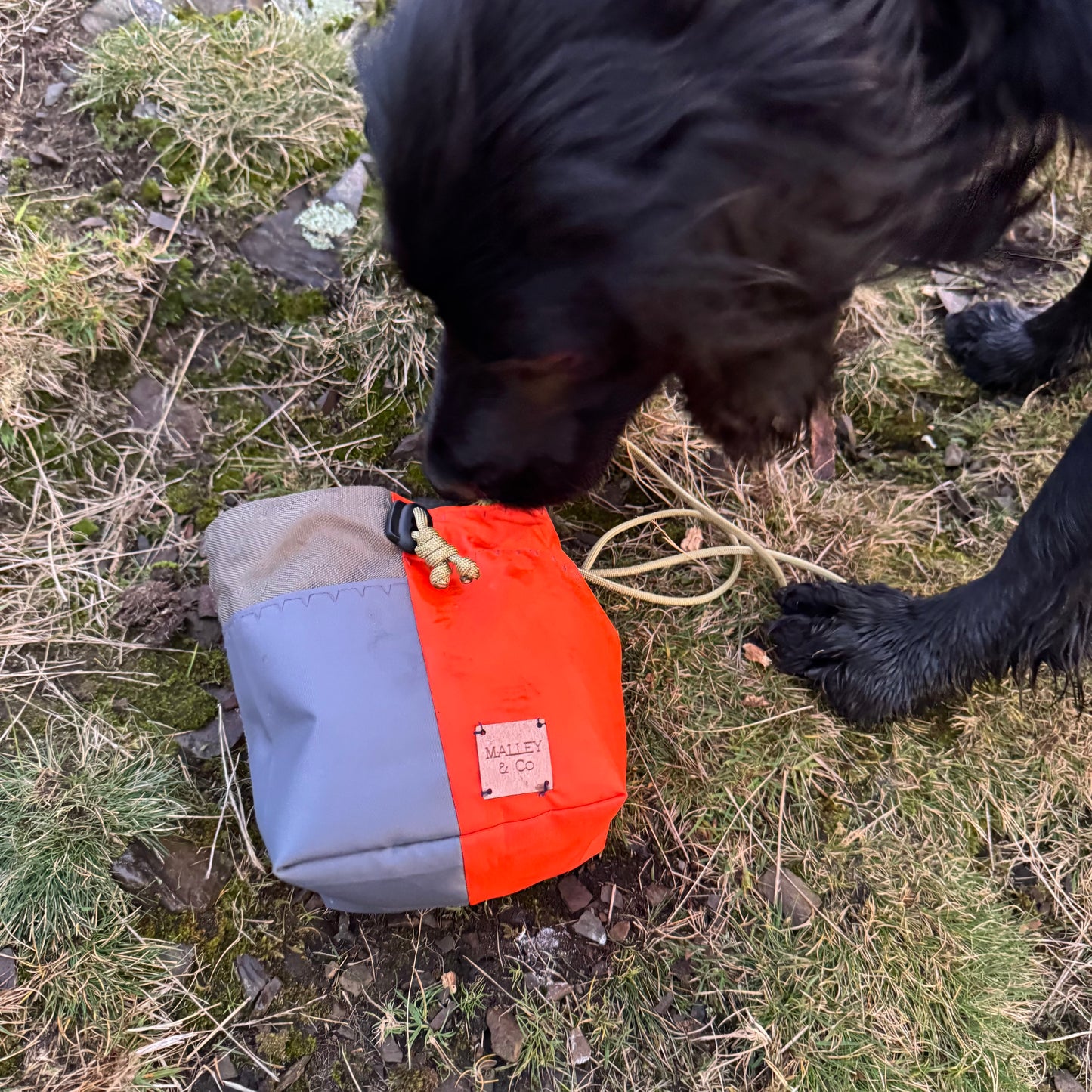 West Kip Treat Bag