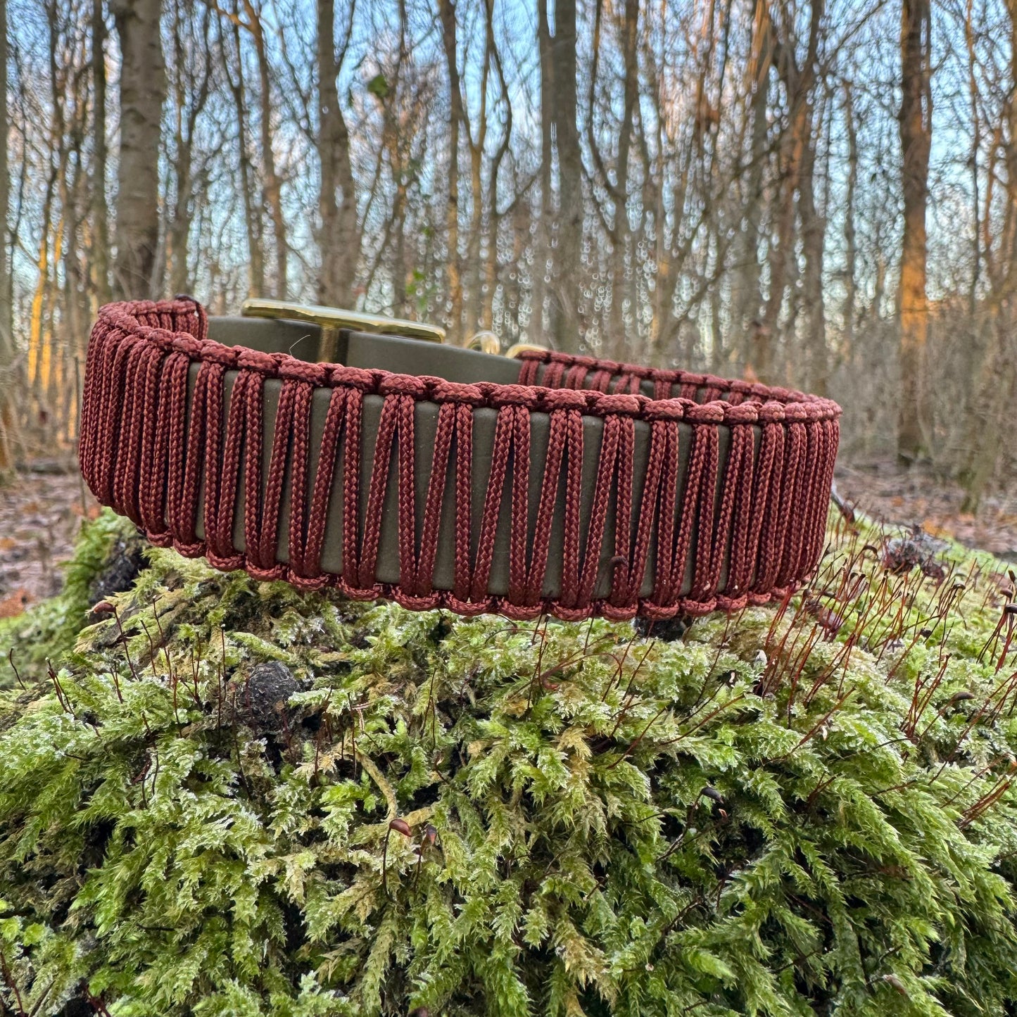 Make your own 19mm wrapped biothane collar.