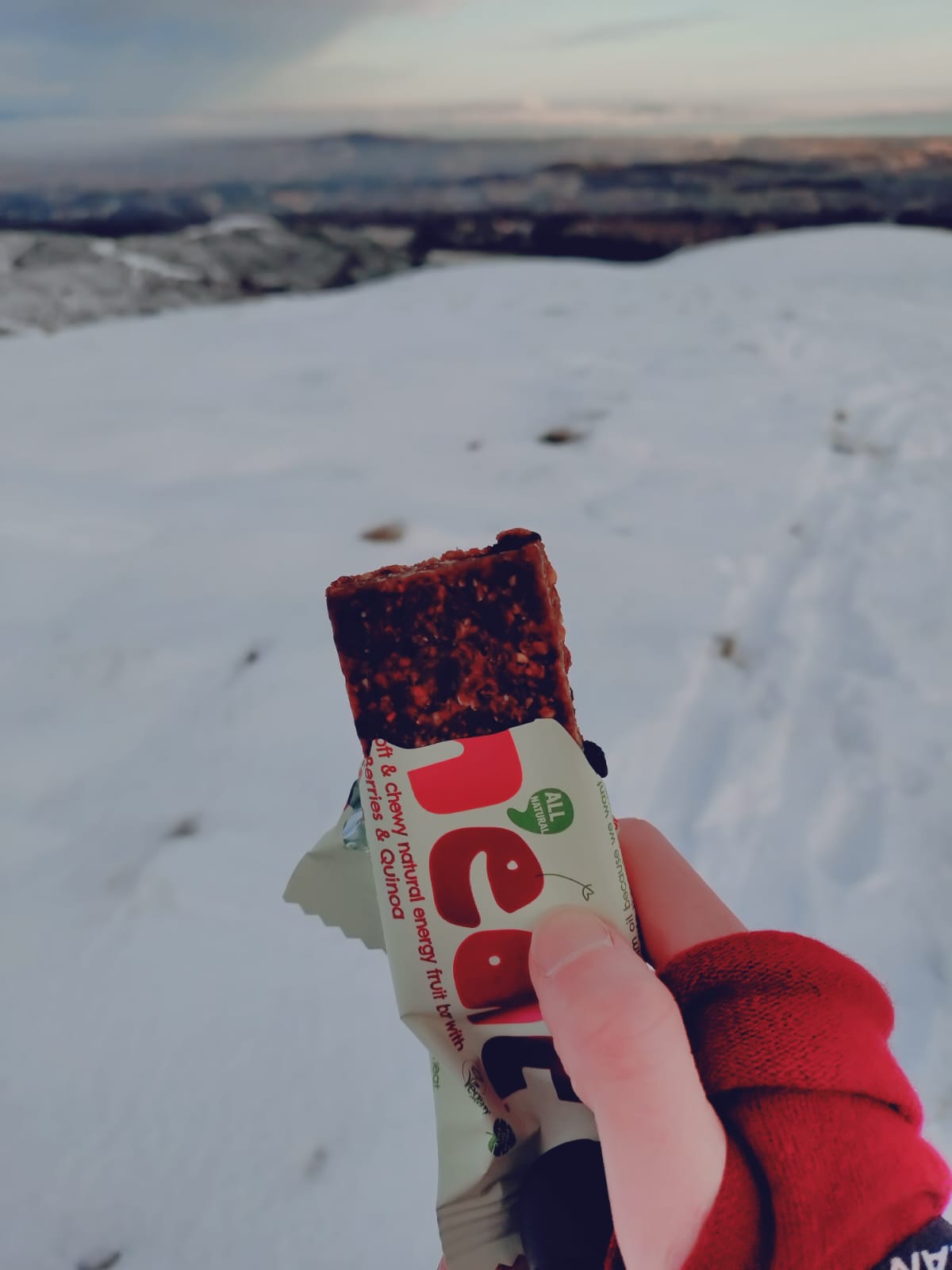 Vegan Red Berries & Quinoa Bar